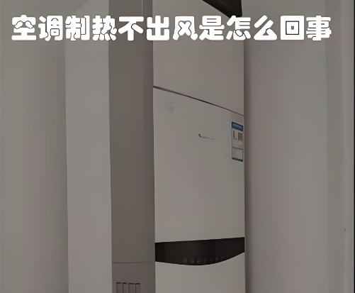 7cf2131d-1949-451b-a8e3-0b40b9cb7e4c.png